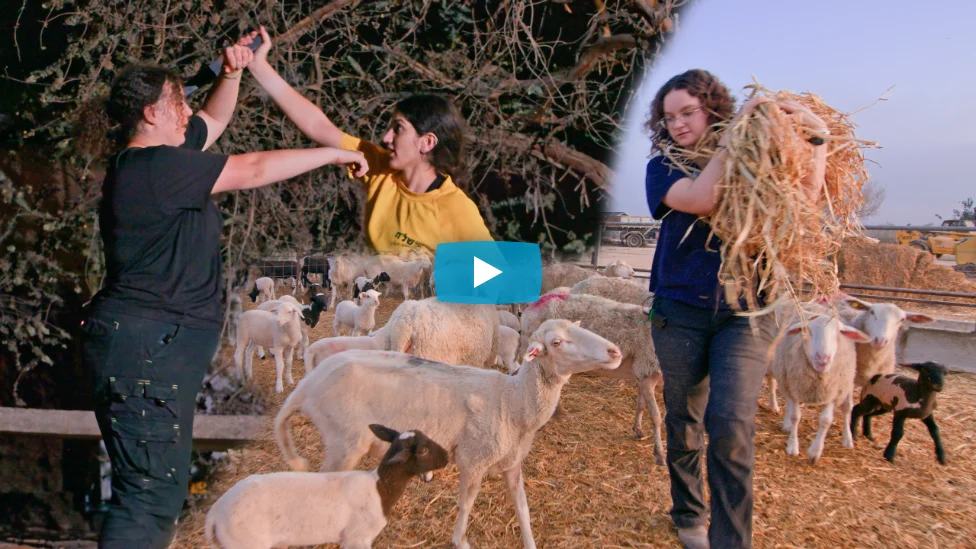 Freiwilliges soziales Jahr und was Israel der Welt schuldet maayan